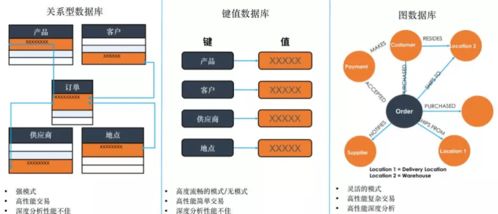 數字化轉型浪潮下，TigerGraph圖技術能否成為數字技術服務新寵兒？