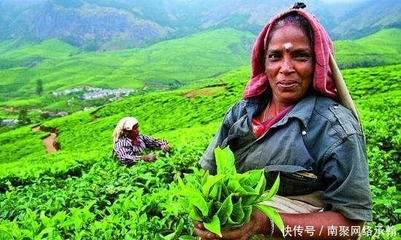 料羅灣海戰 明朝水師重挫荷蘭艦隊，東亞海權爭奪戰的歷史轉折